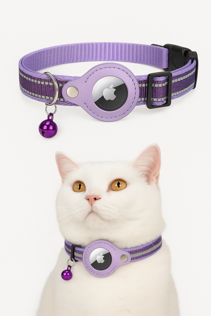 20250531_0012_Purple Dog Collar_remix_01jwhkzhrbftzsg89jscpg8ssb.png
