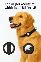 20250531_0104_Dog Collar Airtag Holder_remix_01jwhpy75kf8mt1qex3czfbeah.webp